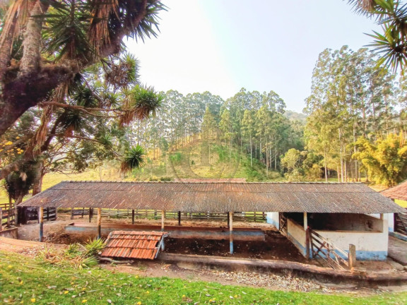 Imagem Fazenda à Venda, 240 m² em Santa Rita - São Luíz Do Paraitinga