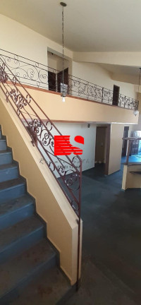 Imagem Casa com 3 Quartos à Venda,  em Palmares - Belo Horizonte