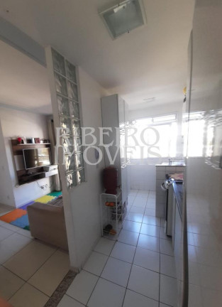 Imagem Apartamento com 2 Quartos à Venda, 52 m² em Portais (polvilho) - Cajamar Imagem Apartamento com 2 Quartos à Venda, 52 m² em Portais (polvilho) - Cajamar