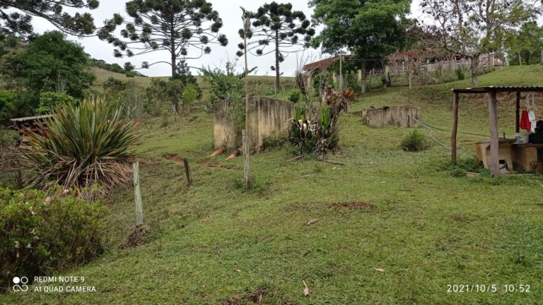 Imagem Fazenda à Venda, 30.000 m² em Centro - Joanópolis Imagem Fazenda à Venda, 30.000 m² em Centro - Joanópolis