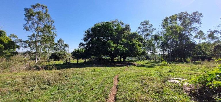 Imagem Fazenda à Venda, em Centro - Getulina Imagem Fazenda à Venda, em Centro - Getulina