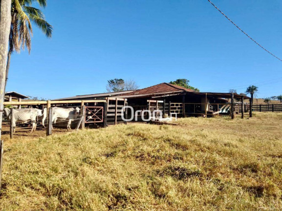 Imagem Fazenda à Venda, 500 m² em Zona Rural - Goianápolis Imagem Fazenda à Venda, 500 m² em Zona Rural - Goianápolis