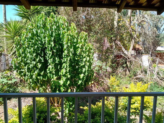 Imagem Imóvel com 2 Quartos à Venda, 2.100 m² em Bairro Roseira (rural) - Campestre