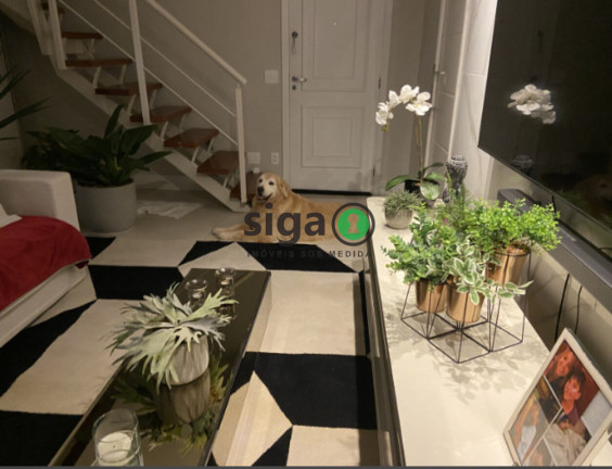Imagem Apartamento com 3 Quartos à Venda, 194 m² em Vila Suzana - São Paulo