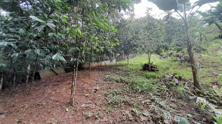 Casa com 2 Quartos à Venda, 2.170 m² em Parque Jaguari (fazendinha) - Santana De Parnaíba