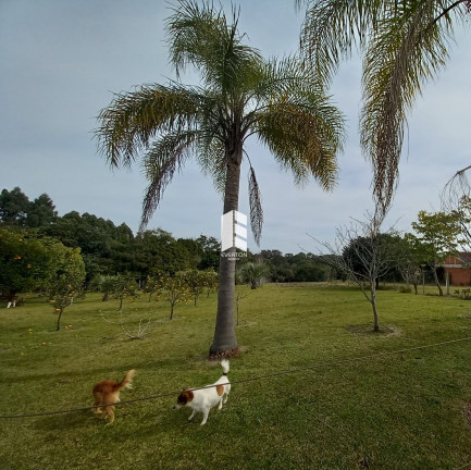 Imagem Terreno à Venda, 1.530 m² em Centro - Itaara Imagem Terreno à Venda, 1.530 m² em Centro - Itaara