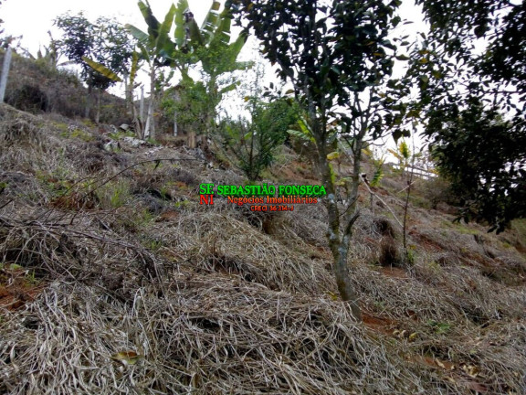 Imagem Chácara à Venda, 2.000 m² em Sob. Consulta - São José Dos Campos Imagem Chácara à Venda, 2.000 m² em Sob. Consulta - São José Dos Campos