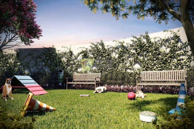 Imagem Apartamento com 2 Quartos à Venda, 52 m² em Chácara Bela Vista - Sumaré Imagem Apartamento com 2 Quartos à Venda, 52 m² em Chácara Bela Vista - Sumaré