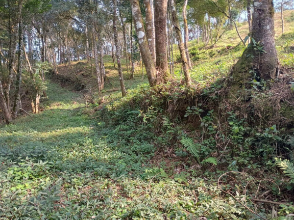 Imagem Chácara à Venda, 25 m² em Curitiba Imagem Chácara à Venda, 25 m² em Curitiba