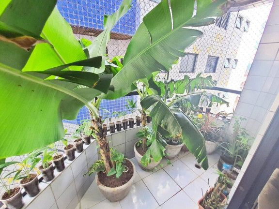 Imagem Apartamento com 2 Quartos à Venda, 75 m² em Ocian - Praia Grande Imagem Apartamento com 2 Quartos à Venda, 75 m² em Ocian - Praia Grande