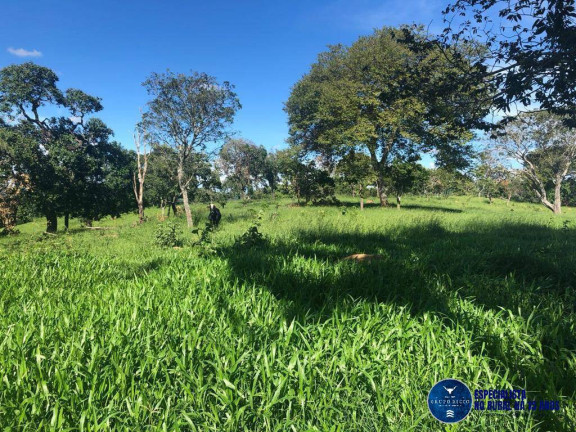 Imagem Fazenda à Venda, 52 m² em Zona Rural - Senador Canedo Imagem Fazenda à Venda, 52 m² em Zona Rural - Senador Canedo