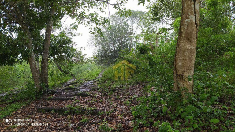 Imagem Fazenda à Venda, 160.000 m² em Rural - Paudalho Imagem Fazenda à Venda, 160.000 m² em Rural - Paudalho