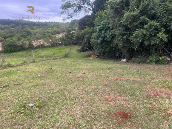 Imagem Chácara com 2 Quartos à Venda, 32.000 m² em Fazenda Fialho - Taquara