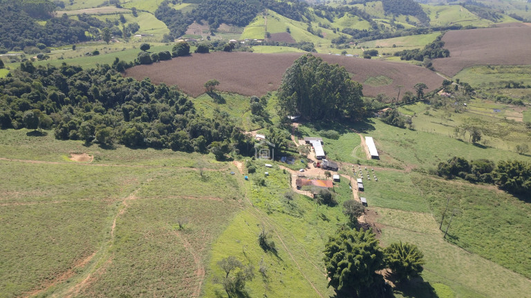 Imagem Imóvel com 3 Quartos à Venda, 11 m² em Barreiro 2 (rural) - Caldas