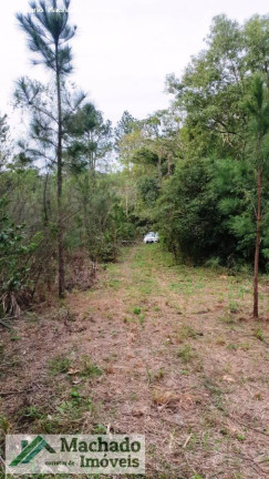 Imagem Terreno à Venda, 20.000 m² em Rural - Itaara Imagem Terreno à Venda, 20.000 m² em Rural - Itaara