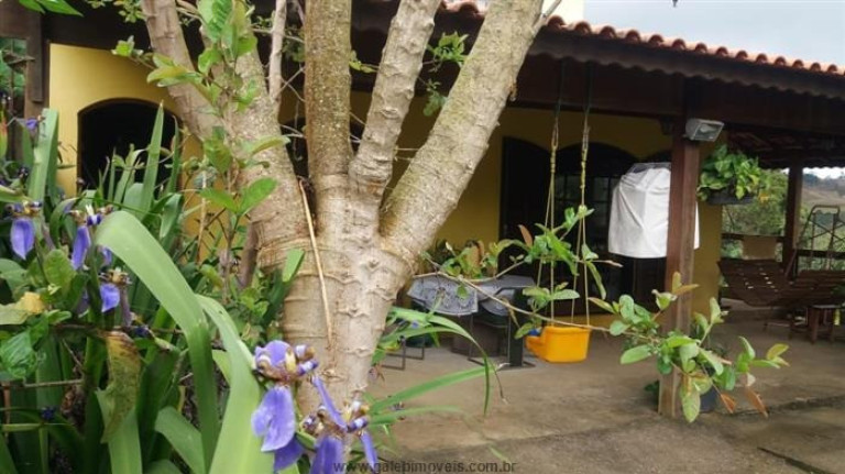 Imagem Imóvel com 4 Quartos à Venda, 400 m² em Rio Acima - Mairiporã Imagem Imóvel com 4 Quartos à Venda, 400 m² em Rio Acima - Mairiporã