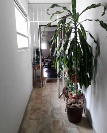 Imagem Imóvel com 1 Quarto à Venda, 42 m² em Santa Cecília - Porto Alegre