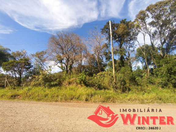 Imagem Terreno à Venda, 559 m² em Arroio Feliz - Feliz Imagem Terreno à Venda, 559 m² em Arroio Feliz - Feliz