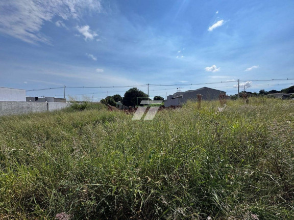 Imagem Terreno à Venda, 200 m² em Morumbi - Cascavel