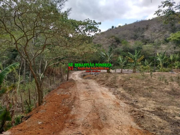 Imagem Chácara com 1 Quarto à Venda, 21.000 m² em Centro - Caçapava