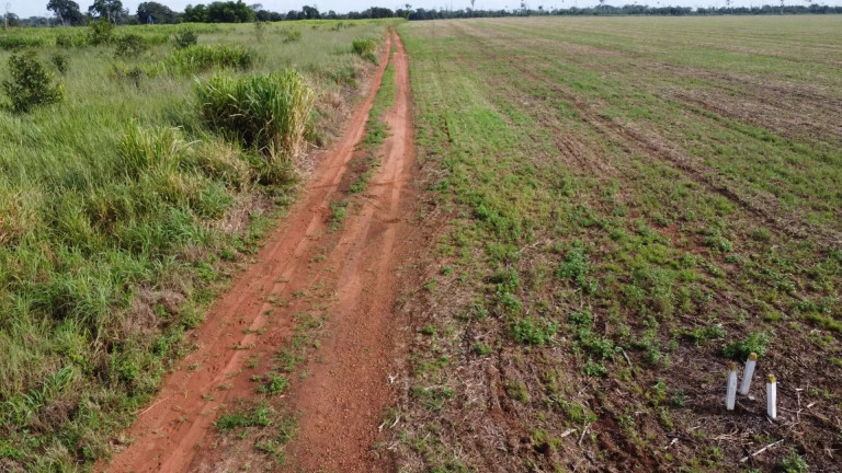 Imagem Fazenda à Venda, 13 m² em Residencial Maripá - Sinop Imagem Fazenda à Venda, 13 m² em Residencial Maripá - Sinop