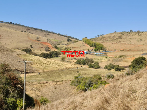 Imóvel com 2 Quartos à Venda,  em Zona Rural De Pouso Alto - Mg - Pouso Alto