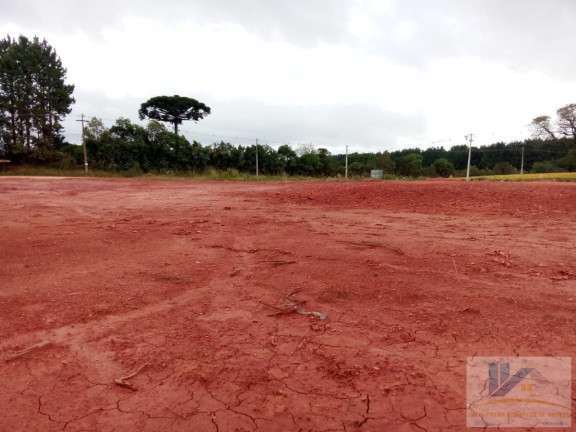 Imagem Terreno à Venda, 4.411 m² em Campo Largo Da Roseira - São José Dos Pinhais Imagem Terreno à Venda, 4.411 m² em Campo Largo Da Roseira - São José Dos Pinhais