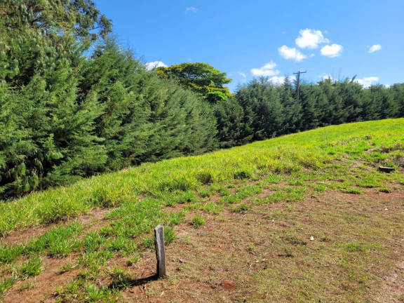 Imagem Terreno em Condomínio à Venda, 1 m² em Azevedo - Joanópolis Imagem Terreno em Condomínio à Venda, 1 m² em Azevedo - Joanópolis
