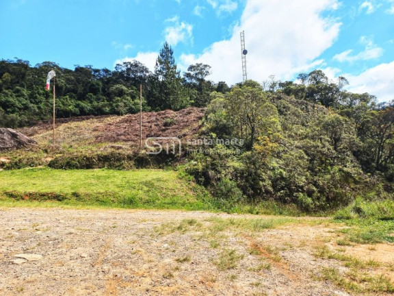 Imagem Imóvel à Venda, 1 m² em Pouso Frio - Piquete Imagem Imóvel à Venda, 1 m² em Pouso Frio - Piquete