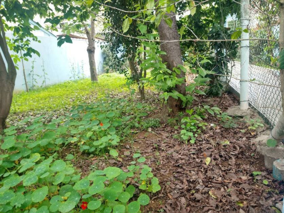 Imagem Casa com 1 Quarto à Venda, 254 m² em Jardim Ana Rosa - São Paulo Imagem Casa com 1 Quarto à Venda, 254 m² em Jardim Ana Rosa - São Paulo