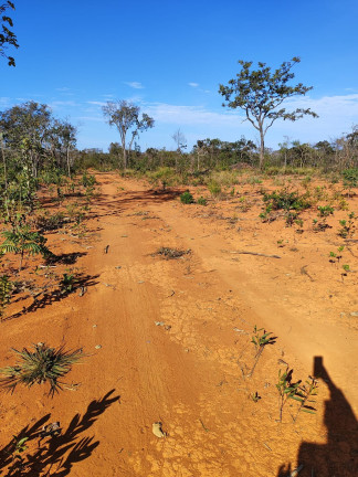Imagem Terreno à Venda, 1.000 m² em 80.000,00//são José De Almeida - São José De Almeida Imagem Terreno à Venda, 1.000 m² em 80.000,00//são José De Almeida - São José De Almeida