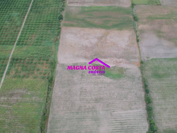 Imagem Fazenda à Venda, 16 m² em Gleba Ribeira - Cachoeiras De Macacu Imagem Fazenda à Venda, 16 m² em Gleba Ribeira - Cachoeiras De Macacu