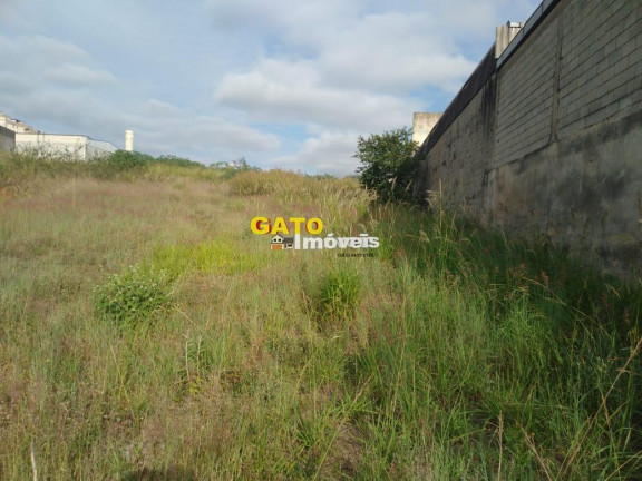 Imagem Terreno à Venda, 2.920 m² em São Luiz (polvilho) - Cajamar