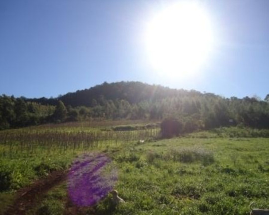 Imagem Terreno à Venda, 5 m² em Linha Nova - Linha Nova Imagem Terreno à Venda, 5 m² em Linha Nova - Linha Nova