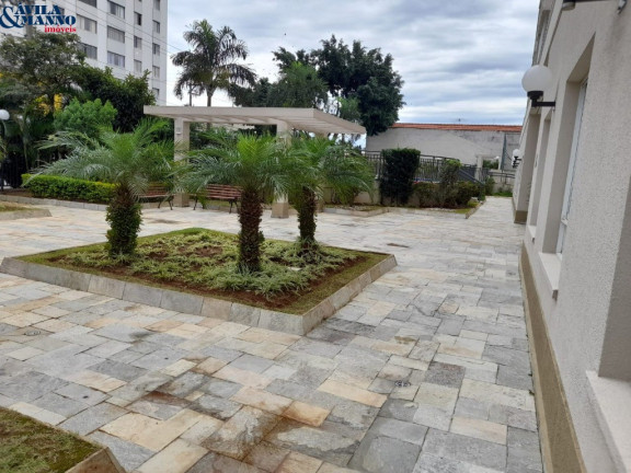 Imagem Apartamento com 2 Quartos à Venda, 65 m² em Ipiranga - São Paulo Imagem Apartamento com 2 Quartos à Venda, 65 m² em Ipiranga - São Paulo