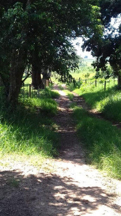Imagem Fazenda à Venda, 60 m² em Rural - Avaré Imagem Fazenda à Venda, 60 m² em Rural - Avaré