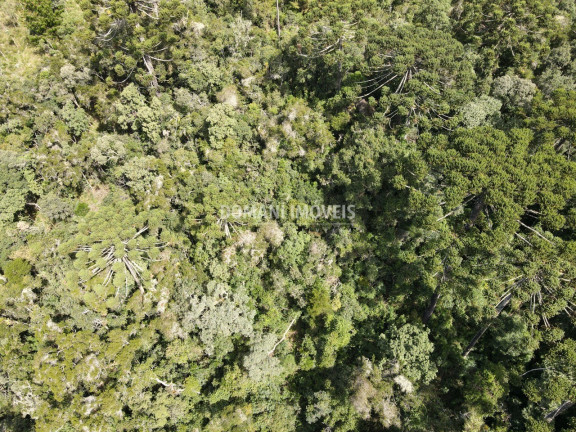 Imagem Terreno à Venda, 5.100 m² em Região Do Atalaia - Campos Do Jordão Imagem Terreno à Venda, 5.100 m² em Região Do Atalaia - Campos Do Jordão