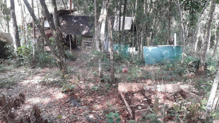 Imagem Terreno em Condomínio à Venda, 5.000 m² em Jardim Petrópolis - Nova Lima