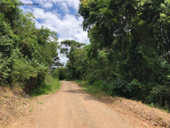 Imagem Terreno à Venda, 5 m² em Nove Colônias - Nova Petrópolis