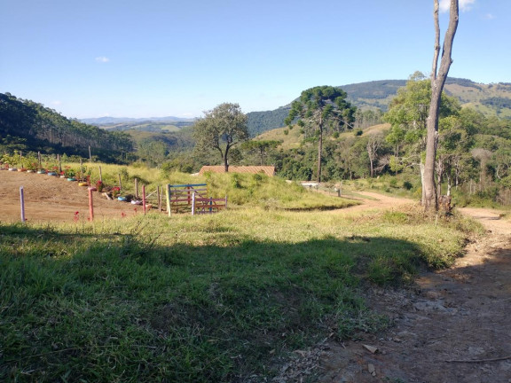 Imagem Chácara à Venda, 1.000 m² em Pocinhos Do Rio Verde - Caldas Imagem Chácara à Venda, 1.000 m² em Pocinhos Do Rio Verde - Caldas