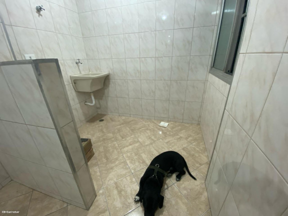 Imagem Apartamento com 2 Quartos à Venda, 65 m² em Baeta Neves - São Bernardo Do Campo
