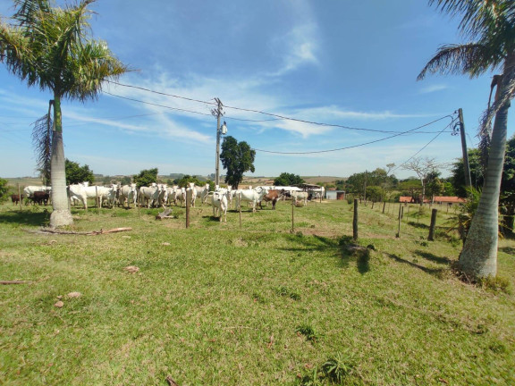 Imagem Chácara com 4 Quartos à Venda, 242 m² em Cercadinho - Alambari