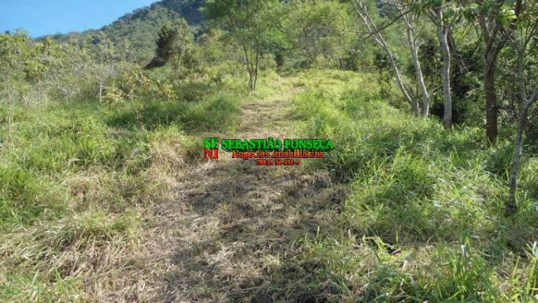 Imagem Chácara à Venda, 72.600 m² em São Francisco Xavier - São José Dos Campos