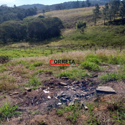 Imagem Terreno à Venda, 1.000 m² em Planalto Do Cocais - Ibiúna