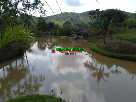 Chácara com 3 Quartos à Venda, 31.573 m² em Monteiro Lobato