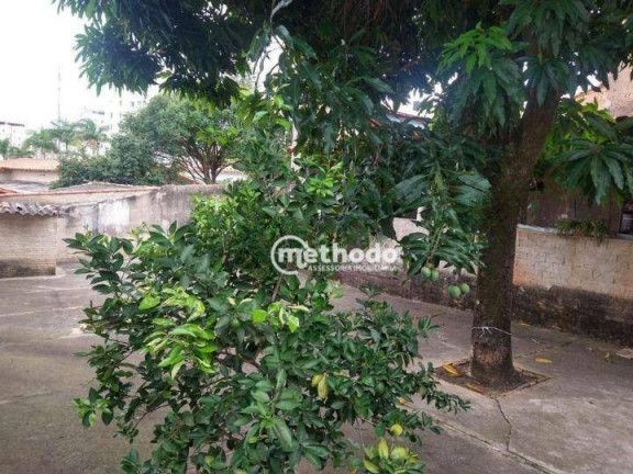 Imagem Casa com 2 Quartos à Venda, 116 m² em Jardim Nova Europa - Campinas Imagem Casa com 2 Quartos à Venda, 116 m² em Jardim Nova Europa - Campinas