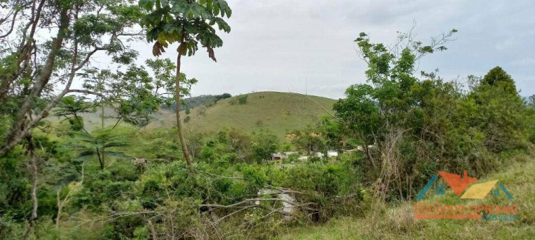 Imagem Imóvel à Venda, 31.000 m² em Capim Da Angola - Paraibuna