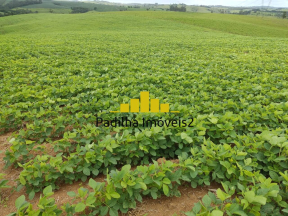 Imagem Chácara à Venda, 20 m² em Pilar Do Sul