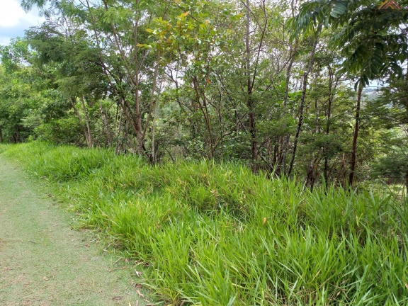 Imagem Terreno à Venda, 1.050 m² em Chácaras Bom Tempo - Franco Da Rocha Imagem Terreno à Venda, 1.050 m² em Chácaras Bom Tempo - Franco Da Rocha