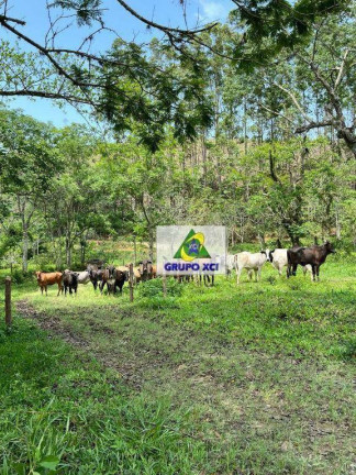 Fazenda à Venda, 1.452.000 m² em Cruz - Lorena